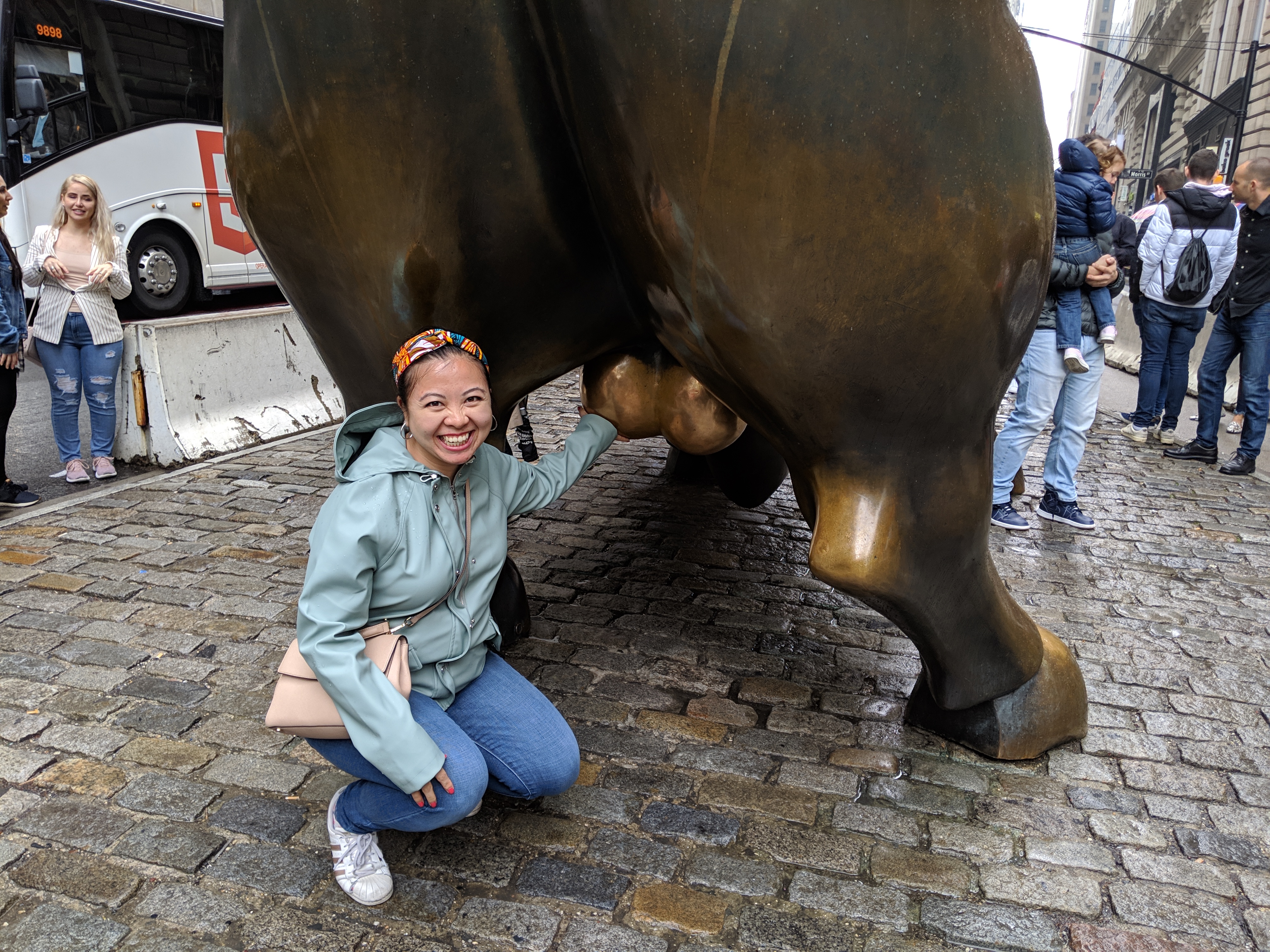 charging bull New york city