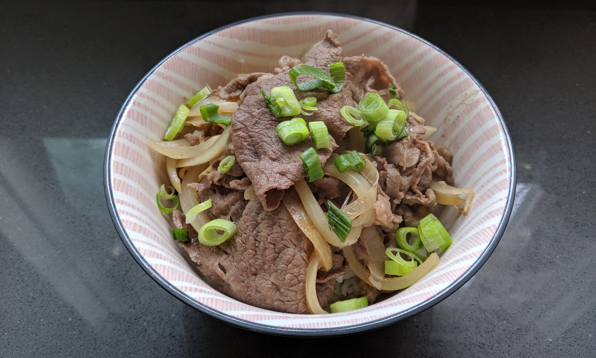 Beef bowl met rijst Yoshinoya